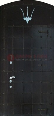 Металлическая арочная дверь ДА-22 высокого качества в Кингисеппе