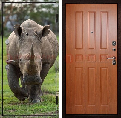 Металлическая дверь с фотопечатью носорога ДФ-31 в Сланцы