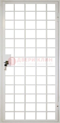 Белая металлическая решетчатая дверь ДР-2 в Кингисеппе